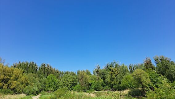 Foto von ursula korn entlang der Tour