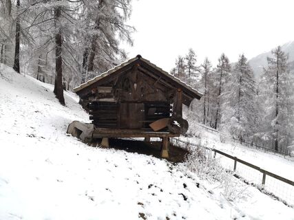 Photo de Karin Preghenella le long du parcours