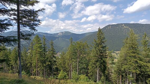 Foto von Bergpirat entlang der Tour
