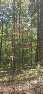 Foto von Darija Forgač entlang der Tour