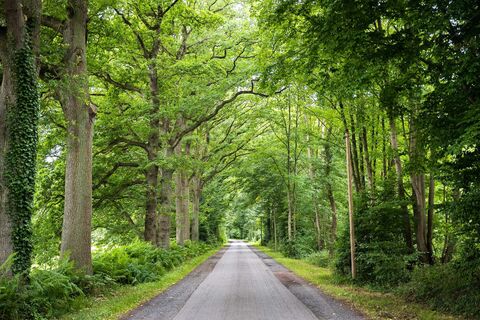Ascheberg Davert