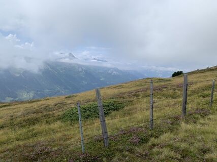 Fotografija s spletne strani Koen De Wit na poti