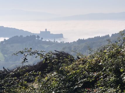 Foto von Thomi W entlang der Tour