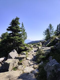 Foto von Renate Beck 3 entlang der Tour