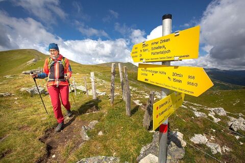 die drei zinken auf der tanzstattalpe  hoher-, kleiner- und niederer zinken_img_43723719