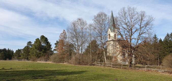 Fotografia z garrincha na trase