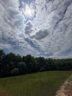 Fotografia z RS76 na trase