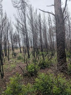 Foto de Karlsson vom Dach a lo largo del recorrido