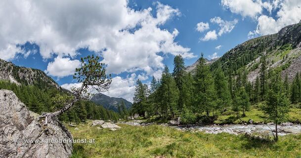 Patscher Alm