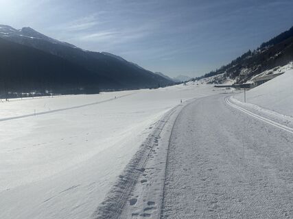 Foto von Zengaffinen Erwin entlang der Tour