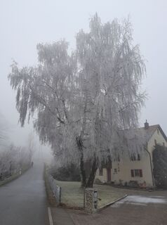 Zdjęcie z Roman Künzli wzdłuż trasy