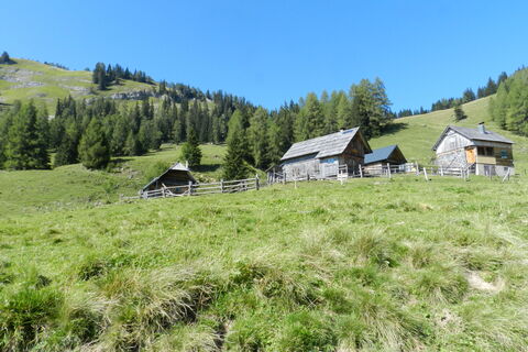 Die Storingalm ist sehr schön gelegen und die Hütten beinhalten liebevolle Details. Die Wiese dahinter führt steil hinauf ...