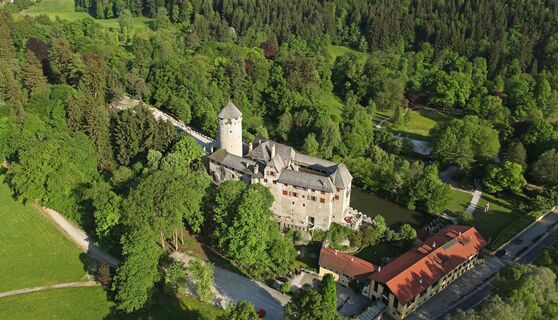 Schloss Matzen mit Park Vogelperspektive
