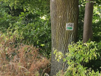 Beschilderung der Route