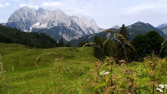 Schnappenstein Wilder Kaiser Region St. Johann in Tirol Kirchdorf in Tirol