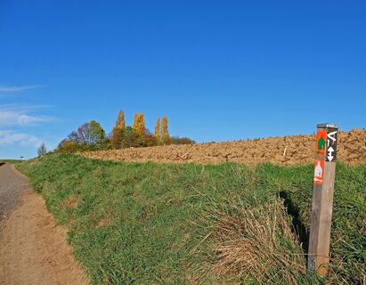 kasseler-heide