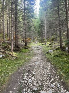 Foto de Max Ammereller a lo largo del recorrido