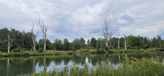 Foto från garrincha under resans gång