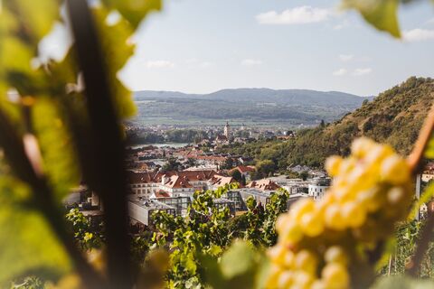 Blick auf Krems-Stein