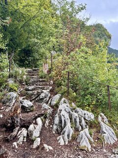 Photo de G. D. le long du parcours
