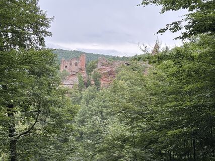 Fotografie z Johannes Frank na trase