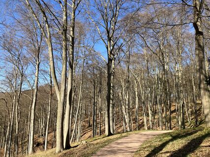 Foto von Andreas Hotze entlang der Tour