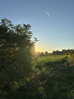 Fotografia z RS76 na trase