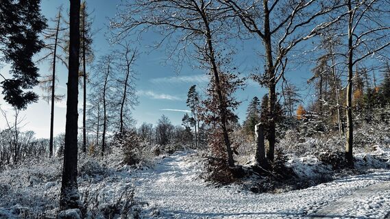 Foto von Klaus Tillmanns entlang der Tour