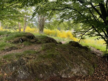Fotografie z Olaf Mönig na trase