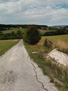 Foto de Gürtler Lubomir a lo largo del recorrido