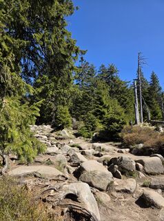 Foto de Noreen (NoKe) a lo largo del recorrido