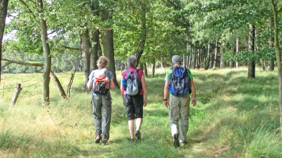 Wanderer am Waldrand vom Ützenbusch