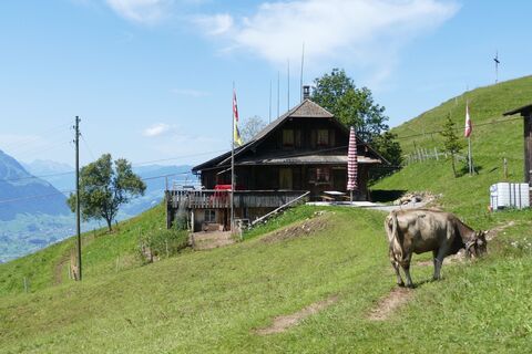 Alpe auf dem Rigi