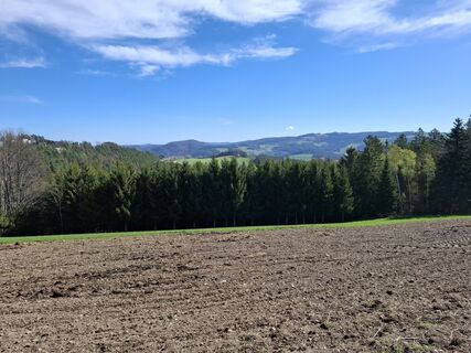 Foto från herwer under resans gång