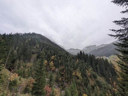 Foto de T Gössing a lo largo del recorrido