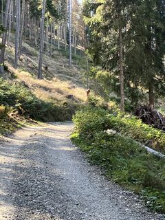 Foto van andrea calabria langs de tour