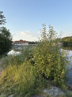 Fotografija s spletne strani HuHa na poti