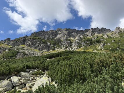 Fotografija s spletne strani Gorgi na poti
