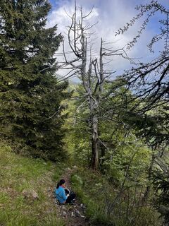 Foto från Alessio Cominelli under resans gång