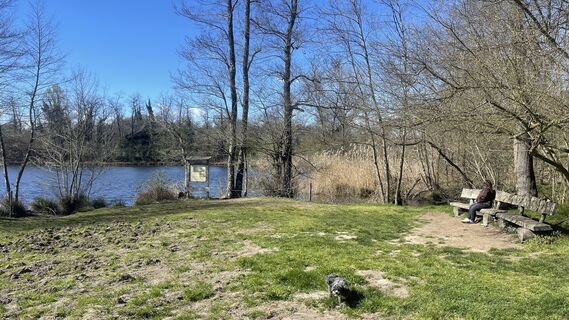 Zdjęcie z Lis Malzach wzdłuż trasy