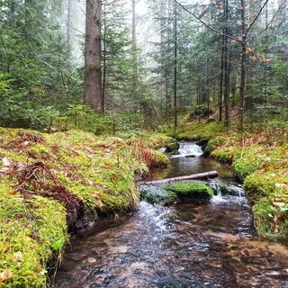 Auf dem 7-Mühlen-Pfad
