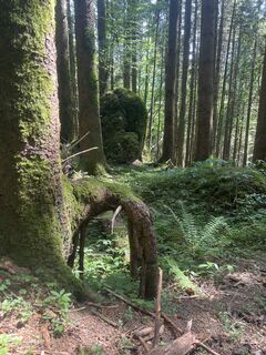 Foto von Angela Schneider entlang der Tour