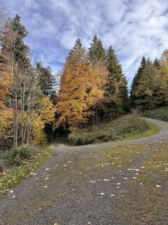 Fotografia z Cyrill Bischof na trase