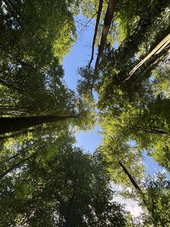 Fotografia z Reti Alicia na trase