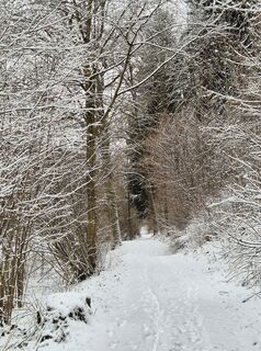 Foto de josef duermoser a lo largo del recorrido