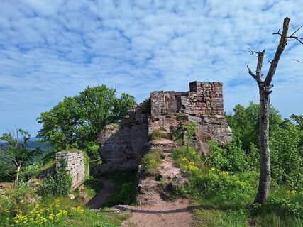 Foto von Katharina entlang der Tour