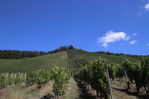 Zdjęcie z Günter Kleutsch wzdłuż trasy