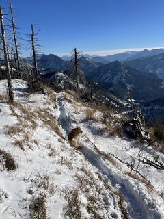 Foto von Karl Hohenwarter entlang der Tour