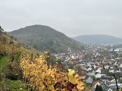 Fotografie de la Norbert Herbig de-a lungul turului