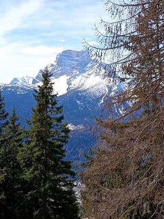 Photo de Enrico T le long du parcours